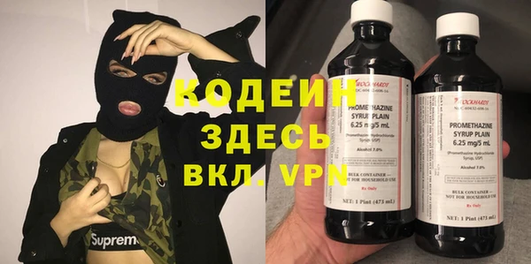 бошки Ельня