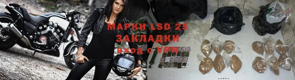 МДПВ Елабуга