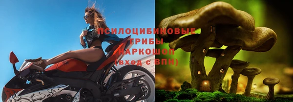 бошки Ельня