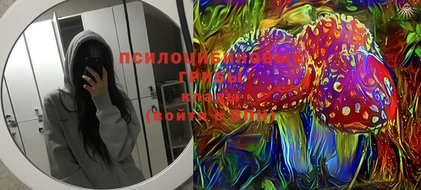 МДПВ Елабуга