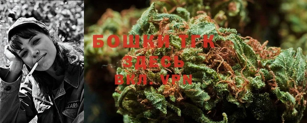 бошки Ельня
