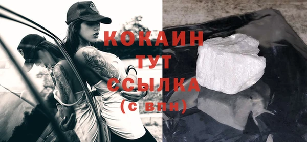 бошки Ельня