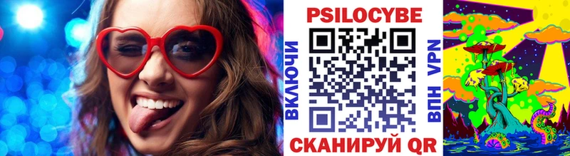 Купить  Северодвинск  Галлюциногенные грибы Psilocybe 